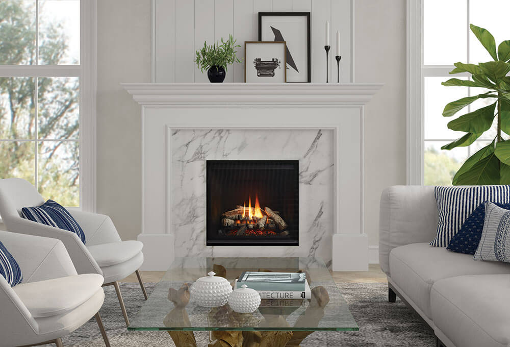 Regency-Gas-Fireplace-G600-Birch-Logs Regency Gas Fireplace G600